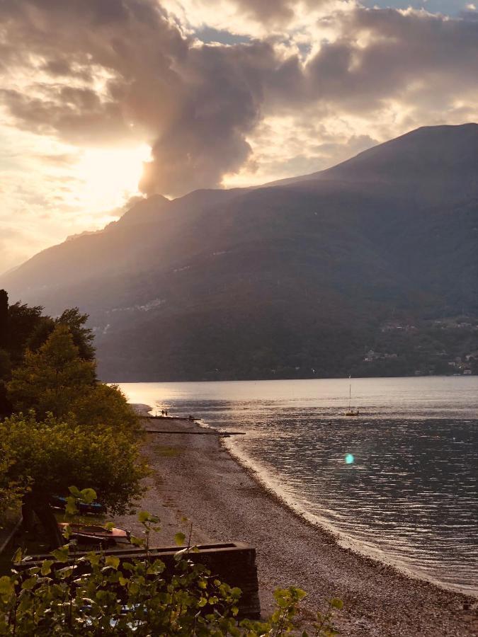 Cottage Il Cigno Con Accesso Al Lago - Como Lake デルヴィオ エクステリア 写真